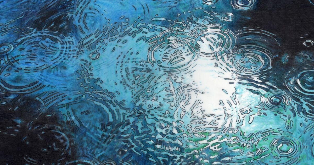 UK Coloured Pencil Society 20th Anniversary Gala Exhibition Coin Street